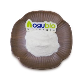 Food Ingredients Bifidobacterium Longum Freeze-dried Probiotics Powder 10 Billion Bifidobacterium Longum Powder