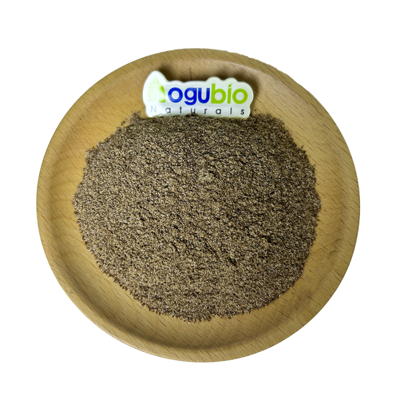 Factory Supply Best Price Maca Energy Coffee Powder Pure Natural Maca Energy Coffee Powder