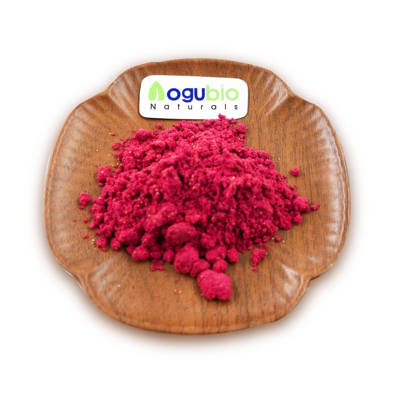 AOGUBIO Fruit Powder OEM Private Label Organic Freeze Dried Strawberry Powder