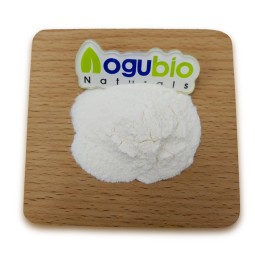 Food Ingredients Bifidobacterium Infantis Freeze-dried Probiotics Powder 10 Billion Bifidobacterium Infantis Powder