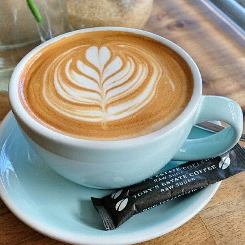 Gold Factory Supply Mushroom Coffee Lion's Mane and Chaga and Mushroom Powder