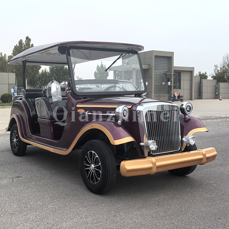 Electric Sightseeing Car Manufacturer - 3 Row 8 Seat