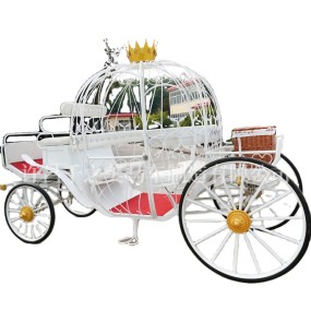 Cinderella Carriage Manufacturer - Electric Off Road
