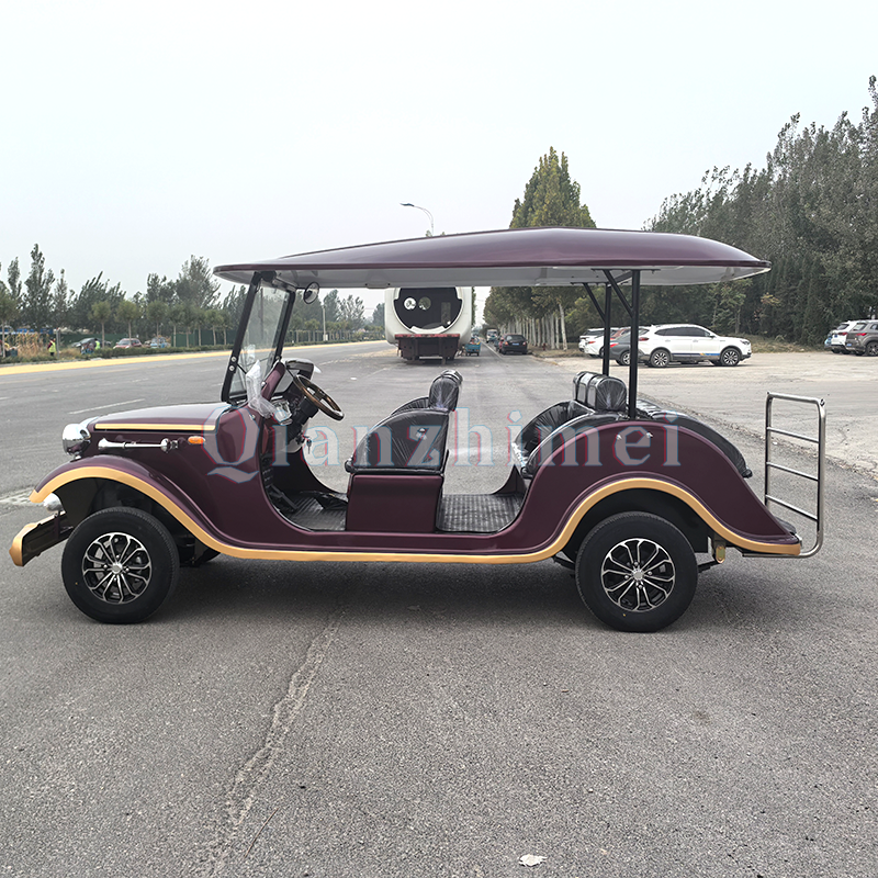 Electric Sightseeing Car Manufacturer - 3 Row 8 Seat