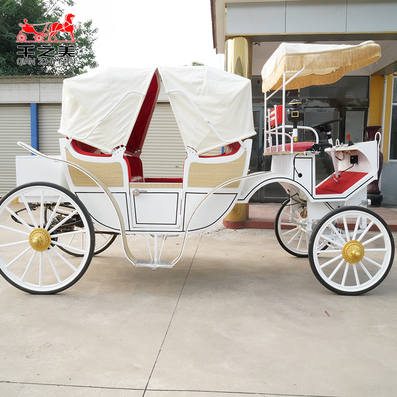 Electric Carriage Supplier - Steel Sightseeing Bus