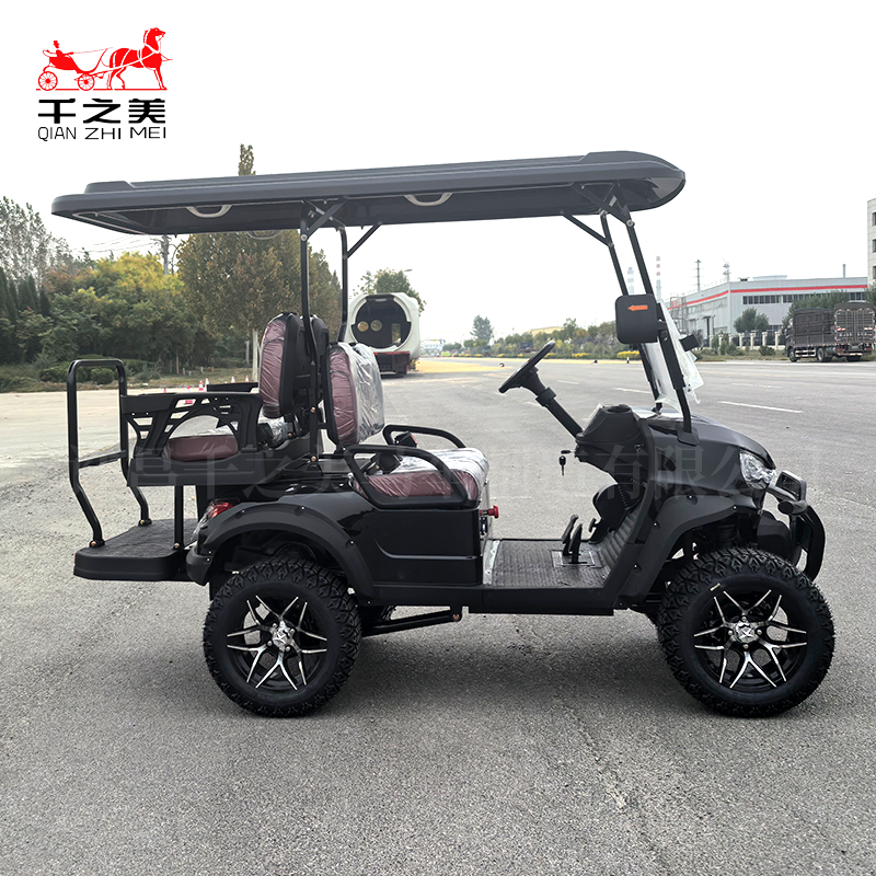 Electric Golf Cart Supplier - Steel Outdoor Use