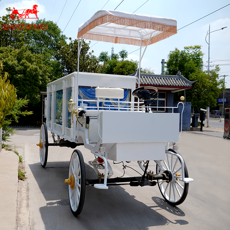 Funeral Hearse Supplier - Elegant Modern Electric