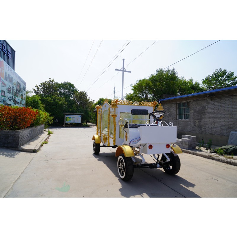 Electric Hearse Supplier - Platinum Steel Direct