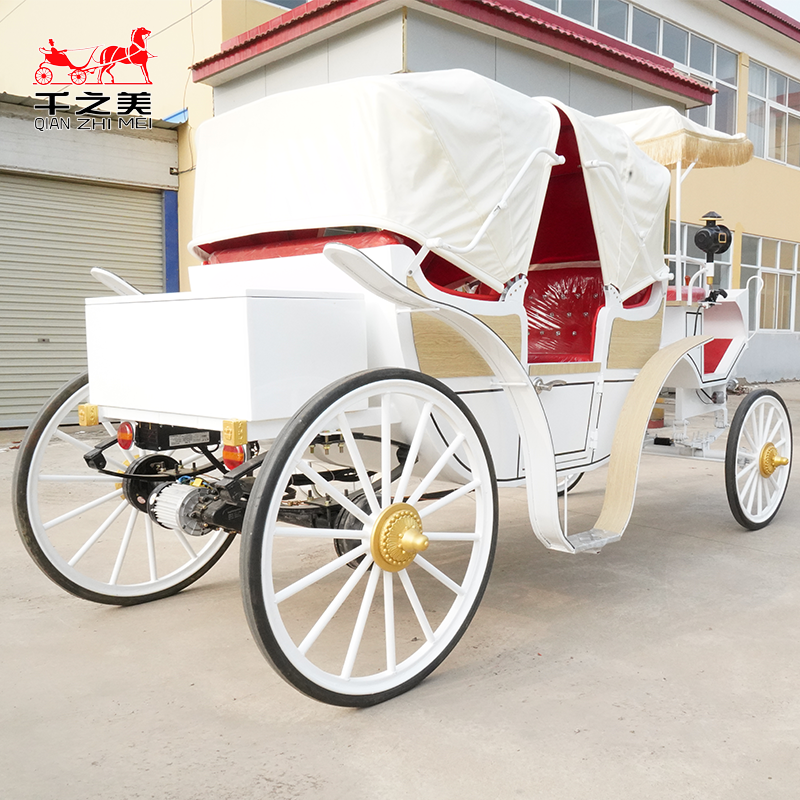 Electric Carriage Supplier - Steel Sightseeing Bus