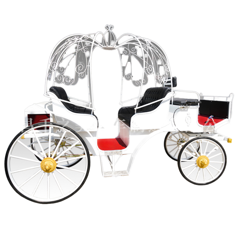 Pumpkin Carriage Supplier - Low Cost Street Design