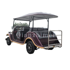 Electric Sightseeing Car Manufacturer - 3 Row 8 Seat