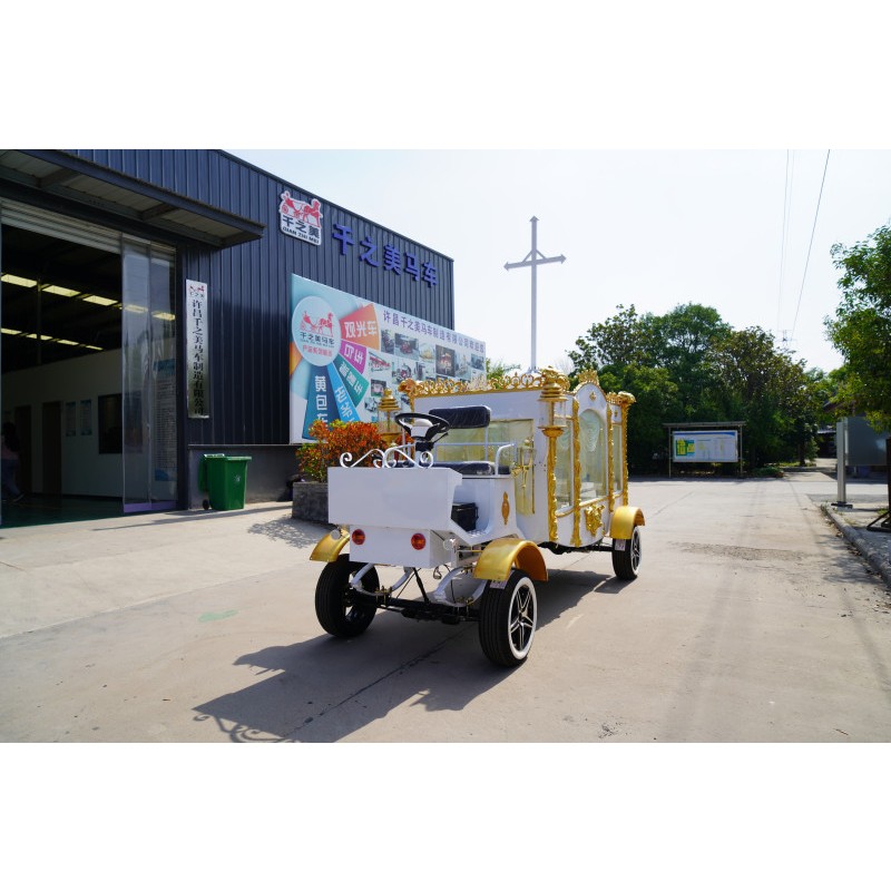 Funeral Transportation Factory - Luxury Platinum