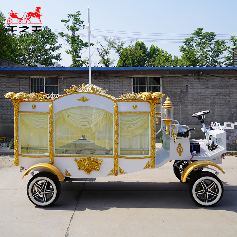 Electric Hearse Supplier - Platinum Steel Direct