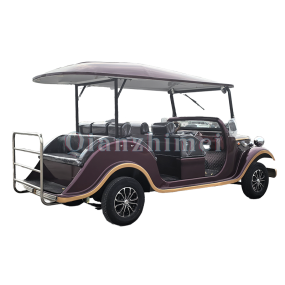 Sightseeing Car Factory - 3 Row 8 Seat Special