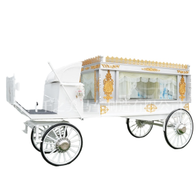 Electric Hearse Factory - White Luxury Classic