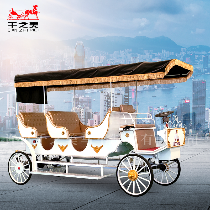 Electric Carriage Supplier - 3 Row 4 Wheel Park Tour