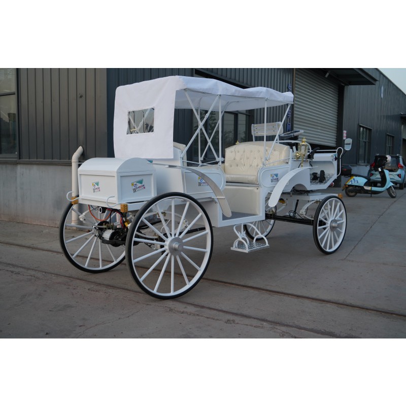 Wedding Carriage Supplier - White Grass Horse Drawn