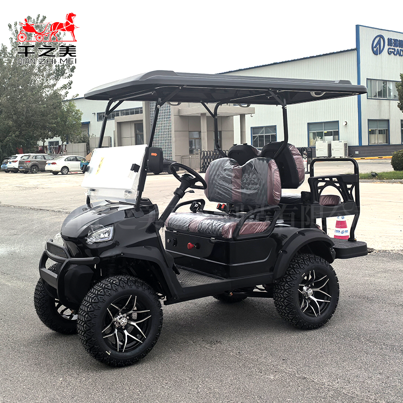 Electric Golf Cart Supplier - Steel Outdoor Use