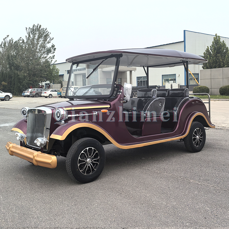 Sightseeing Car Factory - 3 Row 8 Seat Special