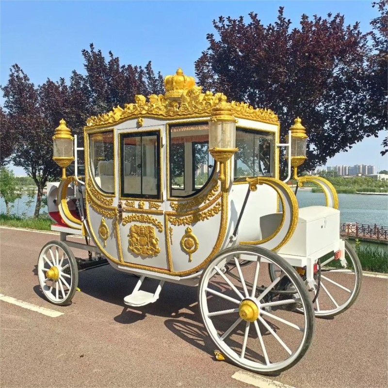 Sightseeing Carriage Manufacturer - OEM Custom Mobile Design