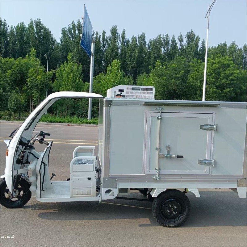 Ice Cream Trailer Factory - OEM Custom Food Tricycle