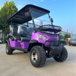 Electric Sightseeing Bus Factory - OEM Custom 3.5KW Motor