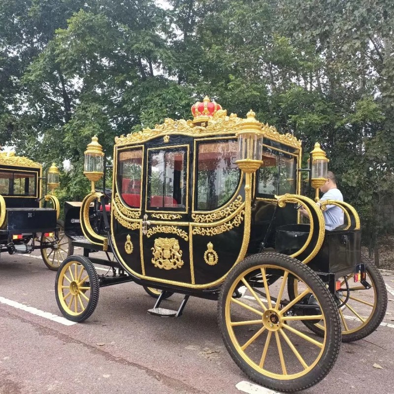 Mobile Carriage Supplier - OEM Custom Graceful Design