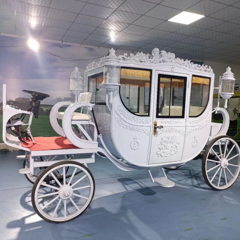 Sightseeing Carriage Manufacturer - OEM Custom Mobile Design