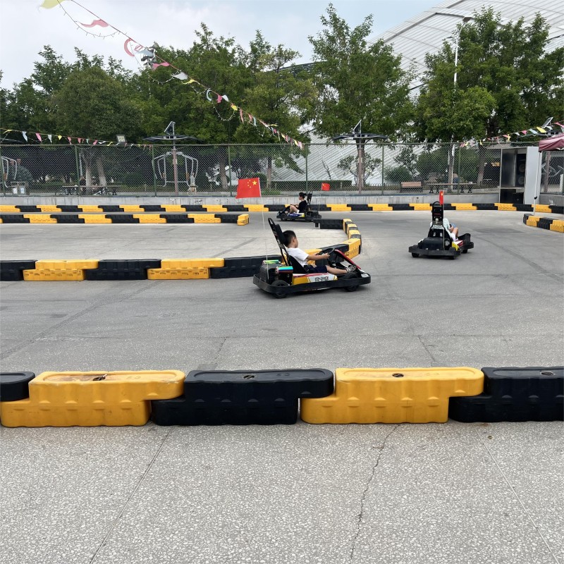 Two Seater Go Kart Supplier - OEM Custom Engine Type