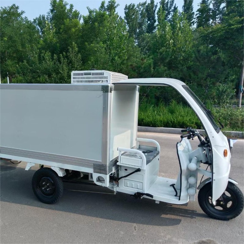 Electric Car Supplier - OEM Custom Golf Cart Sightseeing