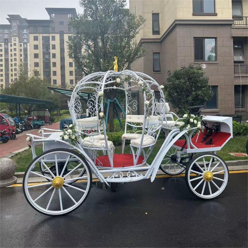 Lighted Carriage Factory - OEM Custom Sightseeing Equipment