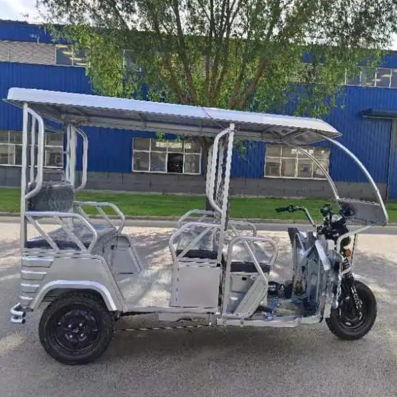 Sightseeing Train Manufacturer - OEM Custom Tourist Resort