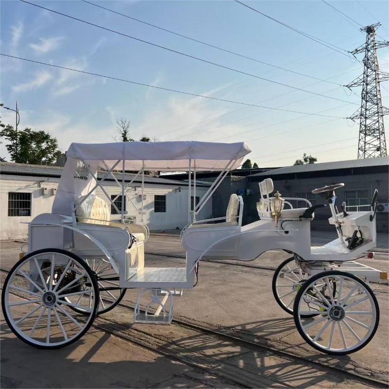 Horseless Carriage Supplier - OEM Custom Christmas Light