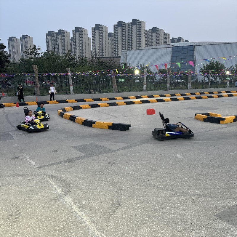 Electric Go Kart Factory - OEM Custom Racing Design