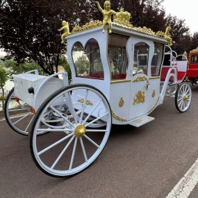 Horse Trailer Manufacturer - OEM Custom Special Transport