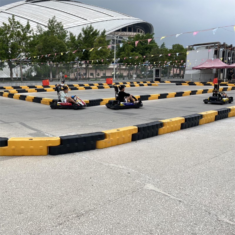 Two Seater Go Kart Supplier - OEM Custom Engine Type