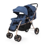 Double stroller for baby