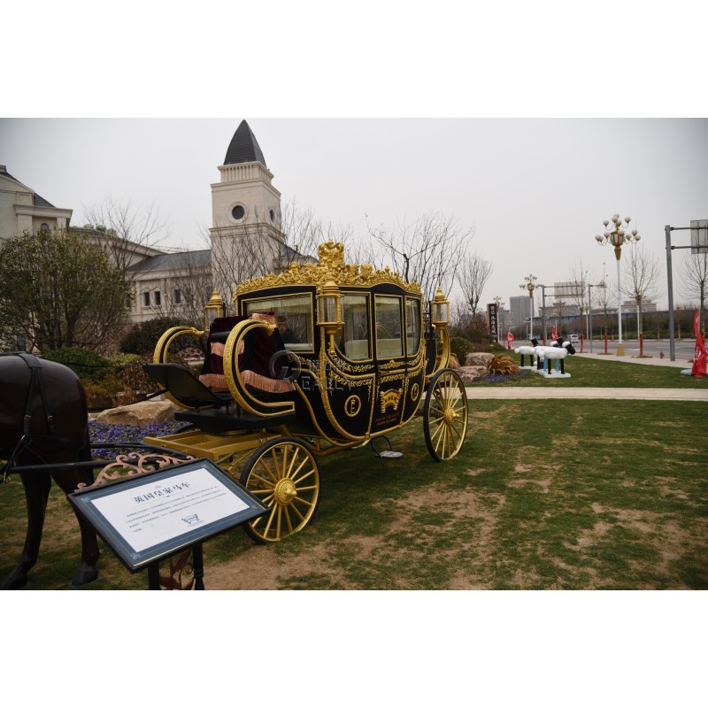 Horse Carriage Manufacturer - Wedding Park Tour Carriage