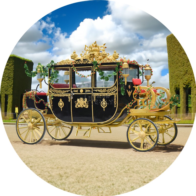 Horse Carriage Factory - Luxury Sightseeing Wagon