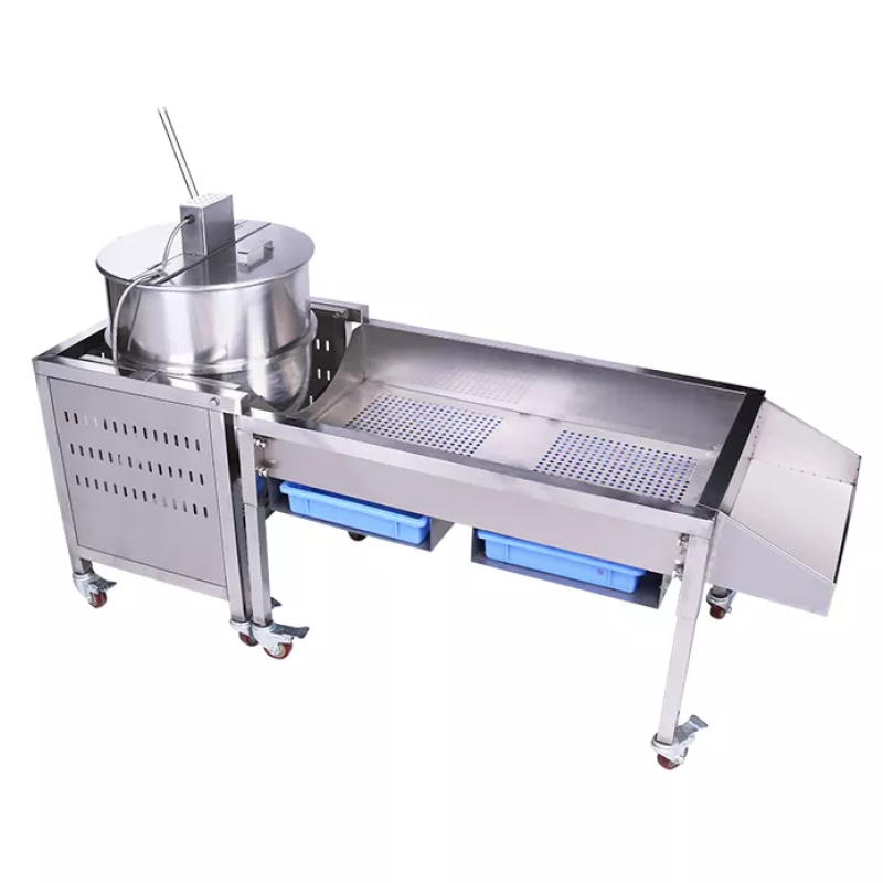 Ice Cream Roller Manufacturer - Double Pan Fried Machine