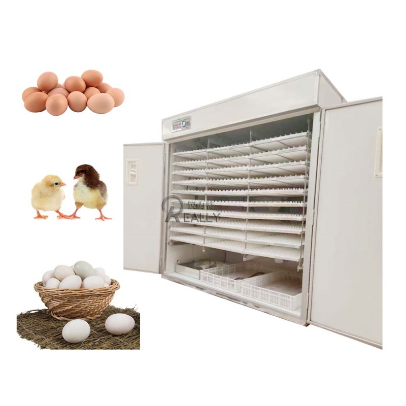Automatic Incubator Manufacturer - 2000 Egg Capacity