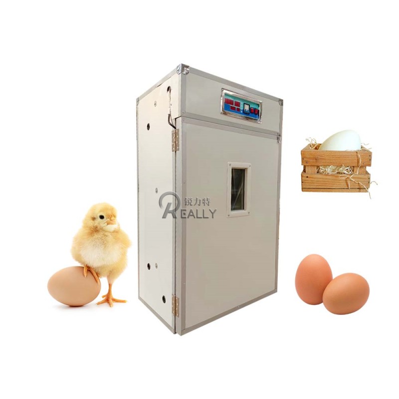 Chicken Incubator Factory - Large Sized Hatching Tray