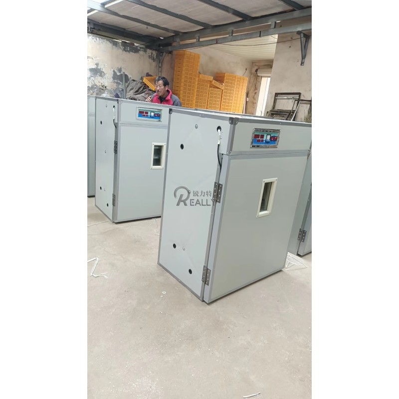 Chicken Incubator Factory - Large Sized Hatching Tray