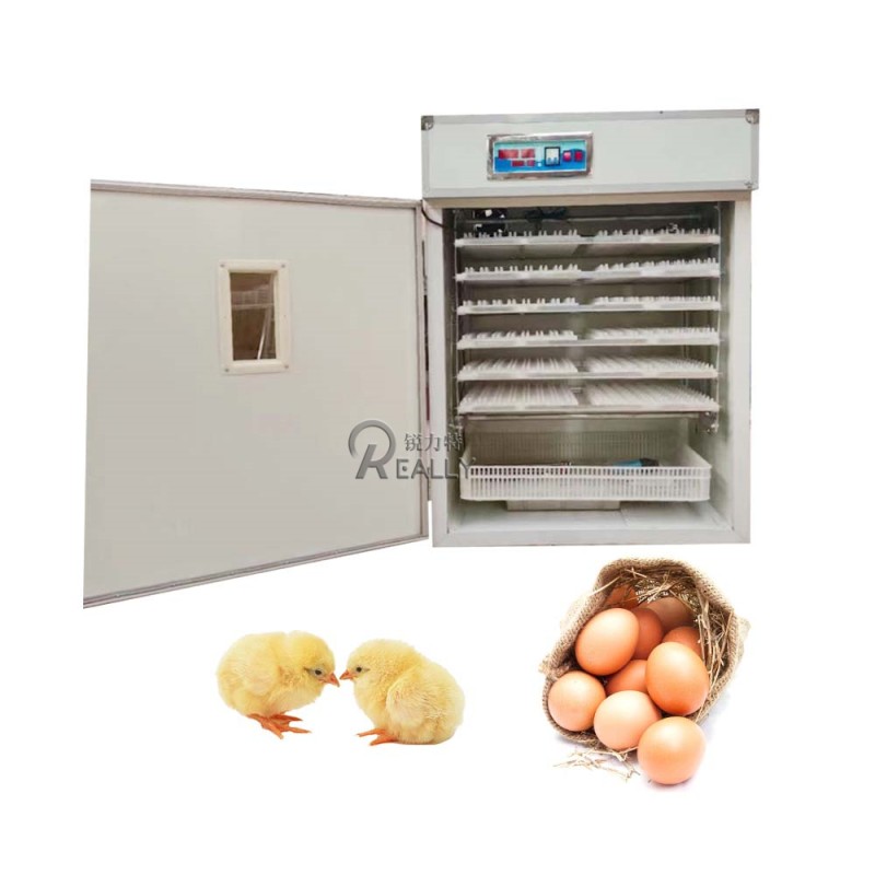 Chicken Incubator Factory - Large Sized Hatching Tray