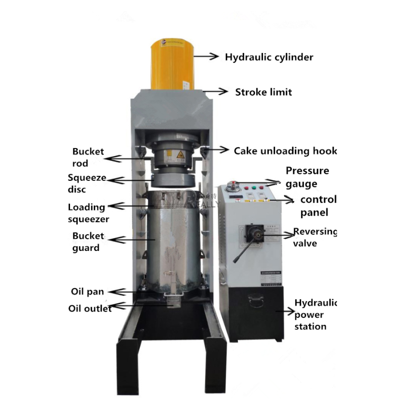 Industrial Juicer Manufacturer - High Capacity Extractor
