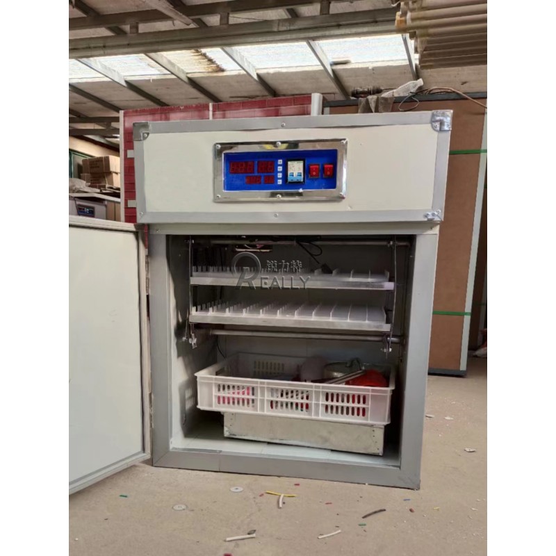 Chicken Incubator Factory - Large Sized Hatching Tray