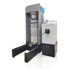 Industrial Juicer Manufacturer - High Capacity Extractor