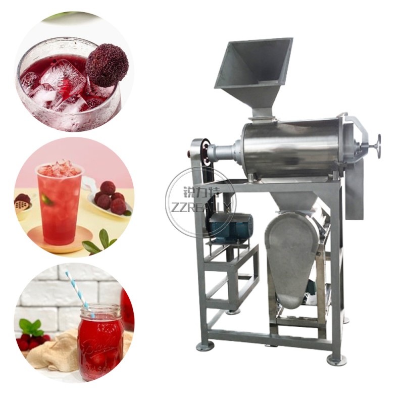 Screw Juicer Factory - 304 Stainless Steel Crusher