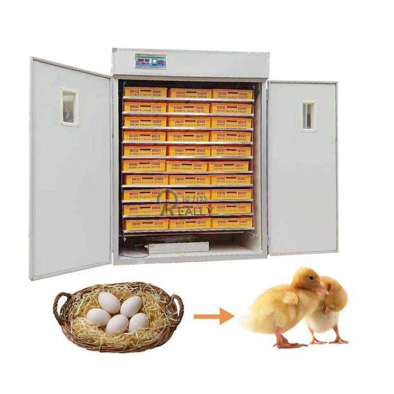 Egg Incubator Manufacturer - Professional Hatchery