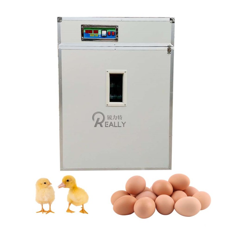 Fishmeal Machine Factory - 2-3 Tons Daily Production